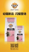 奧丁精品幼貓糧閃耀登場?。?！